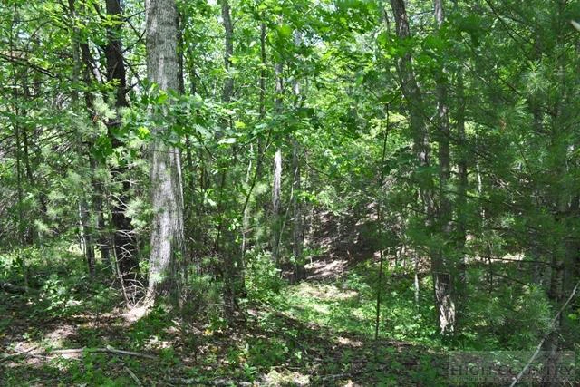 Image number 12 for the current listing
