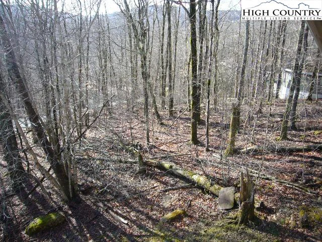 Image number 4 for the current listing