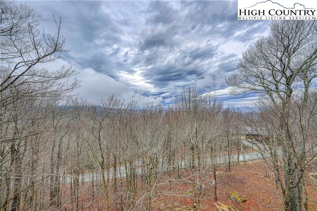Image number 14 for the current listing