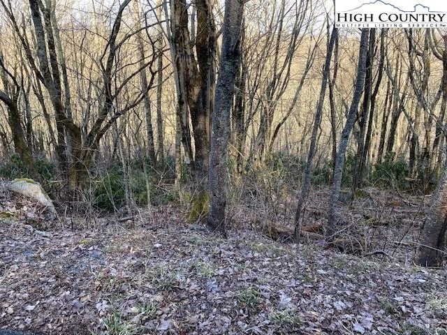 Image number 1 for the current listing