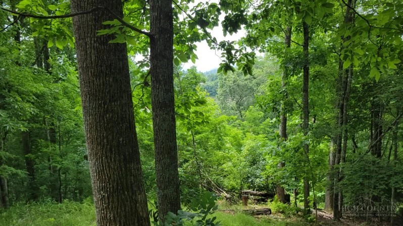 Image number 3 for the current listing