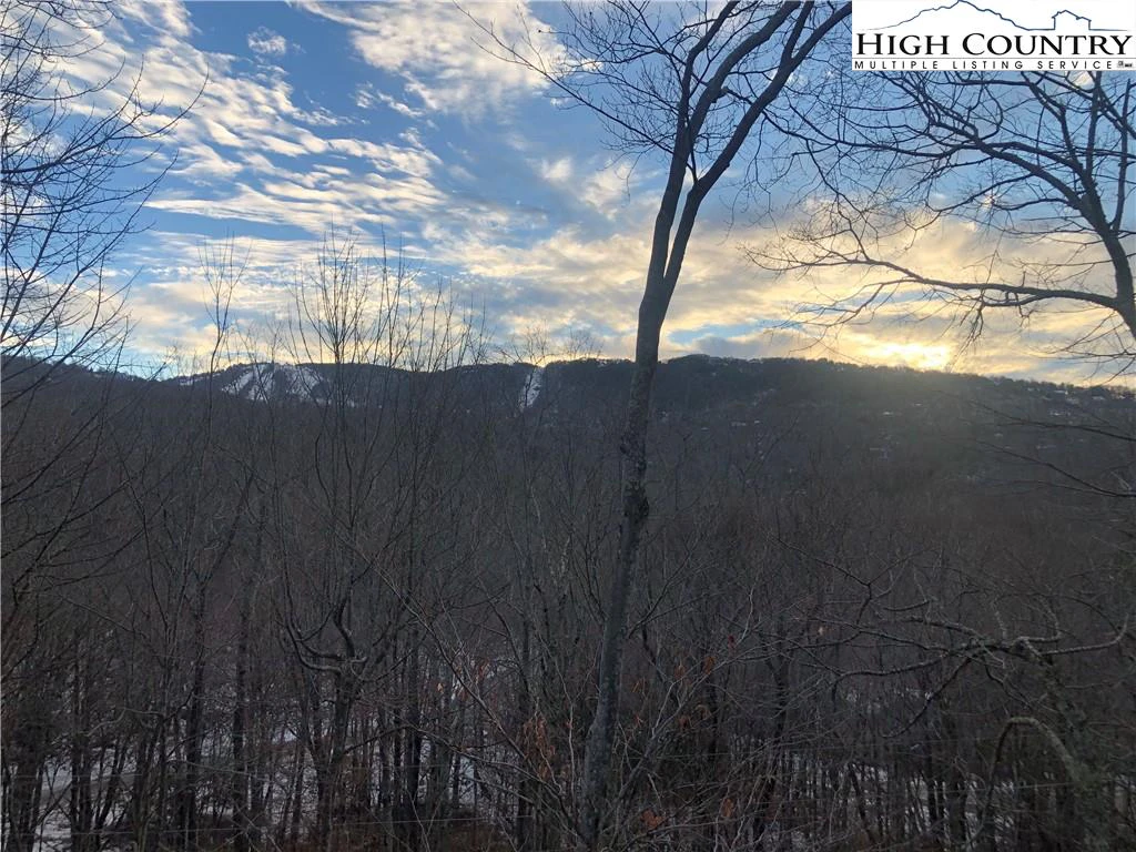 Image number 11 for the current listing
