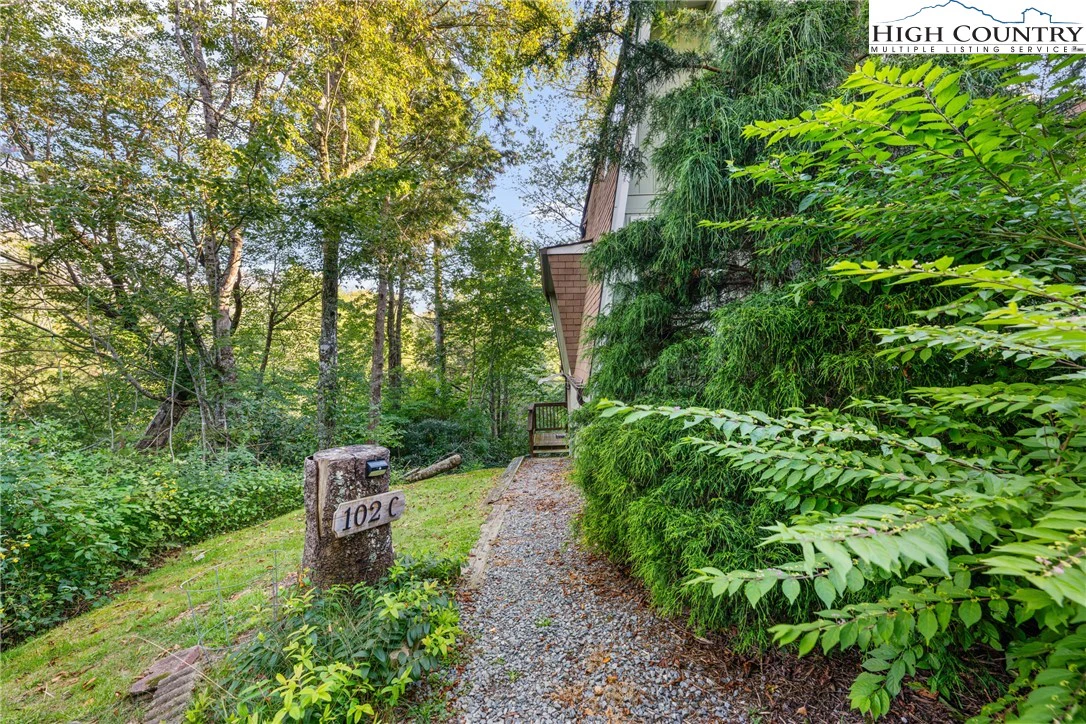 Image number 10 for the current listing