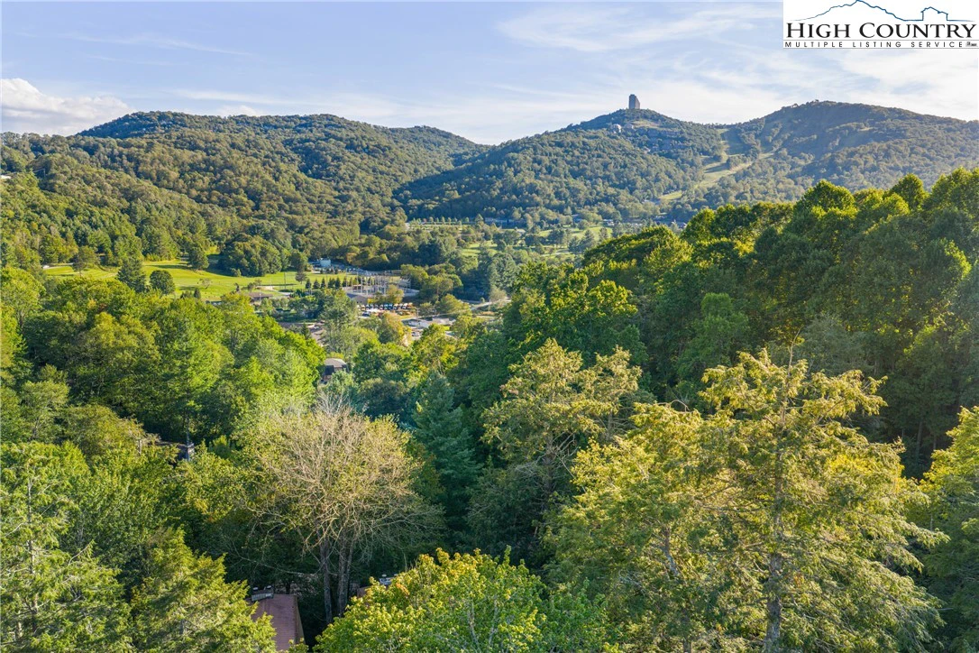Image number 5 for the current listing