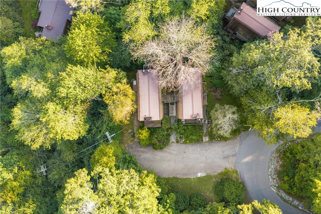 Image number 7 for the current listing