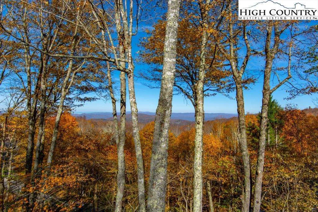 Image number 6 for the current listing