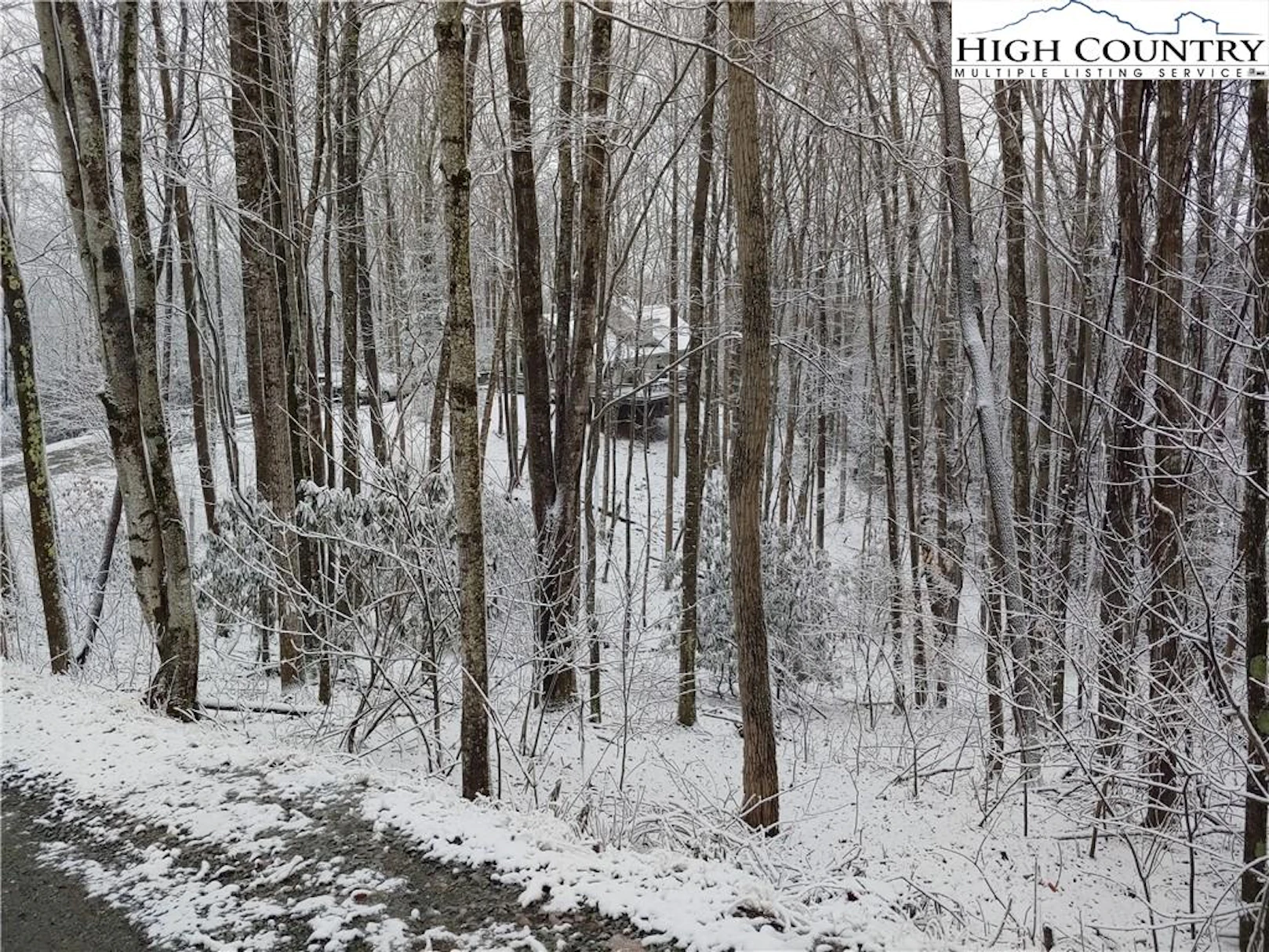 Image number 1 for the current listing