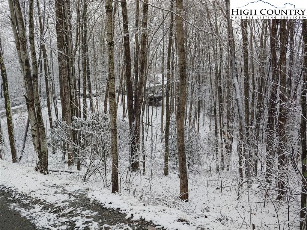 Image number 1 for the current listing