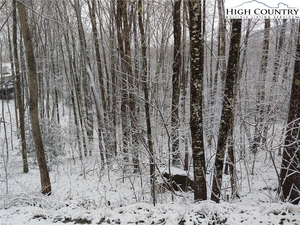 Image number 3 for the current listing
