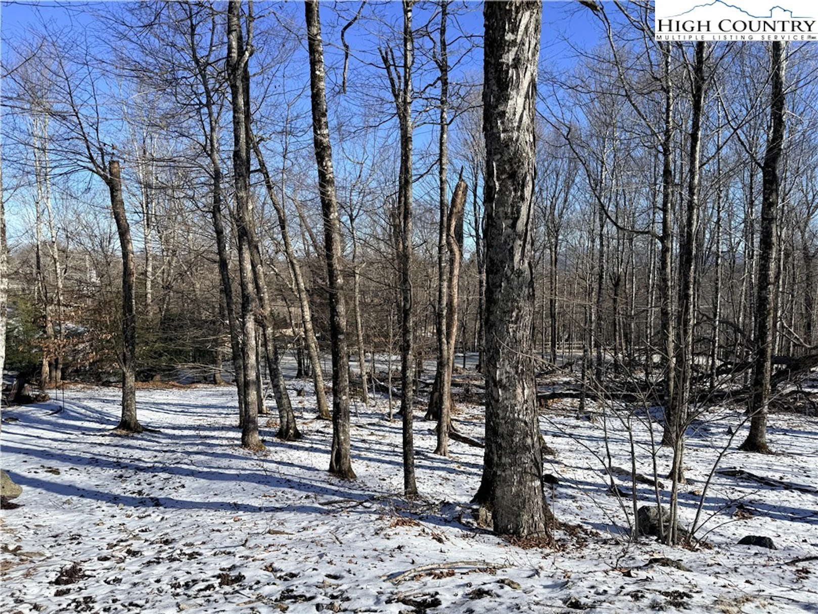 Image number 1 for the current listing