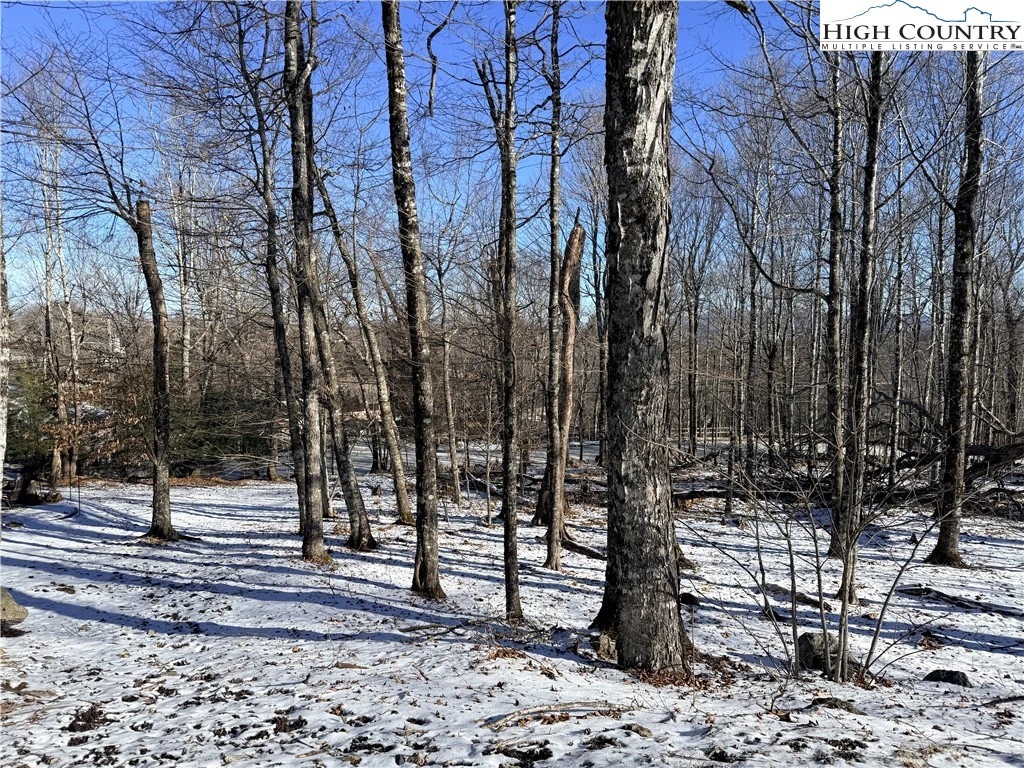 Image number 1 for the current listing