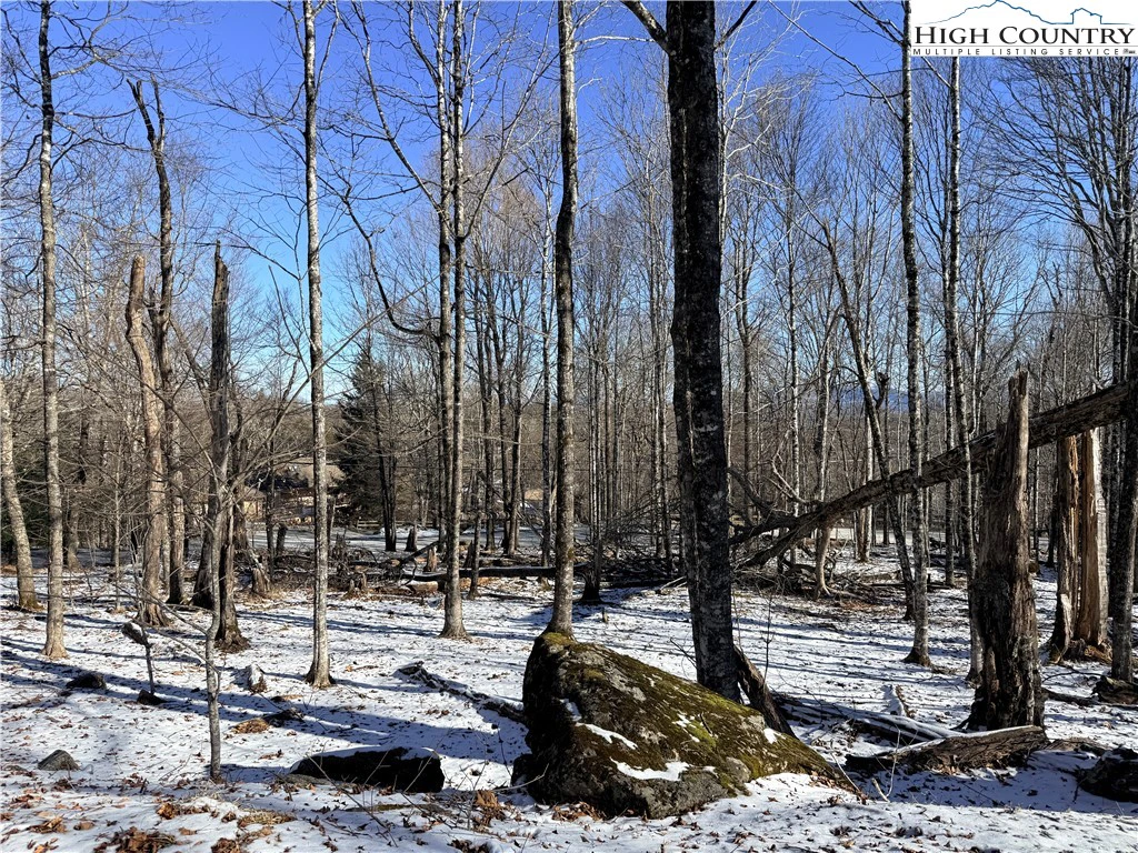 Image number 4 for the current listing