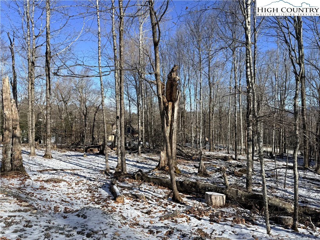 Image number 5 for the current listing