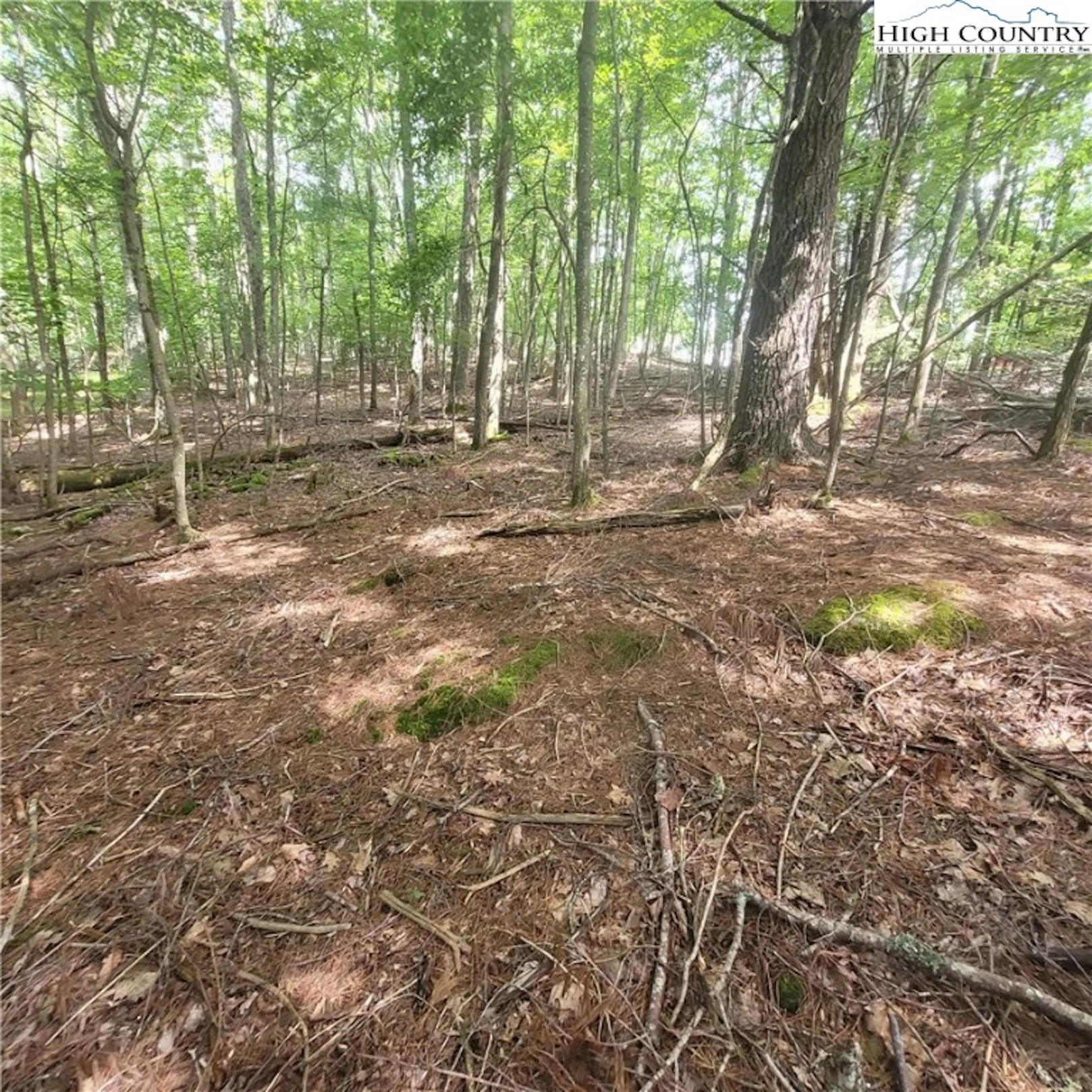 Image number 1 for the current listing