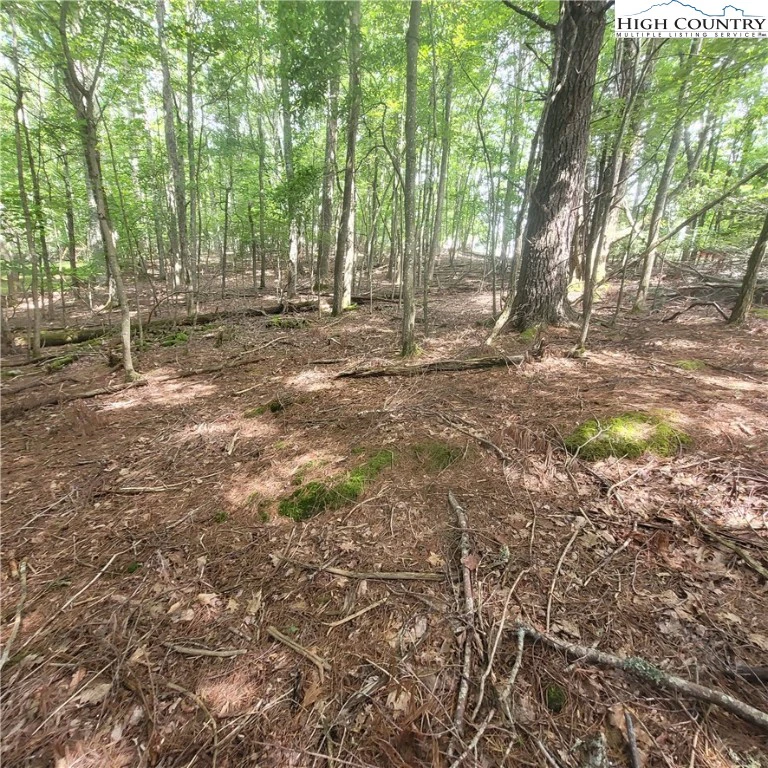 Image number 1 for the current listing