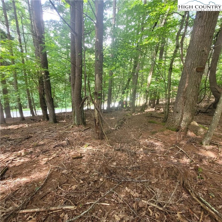 Image number 3 for the current listing
