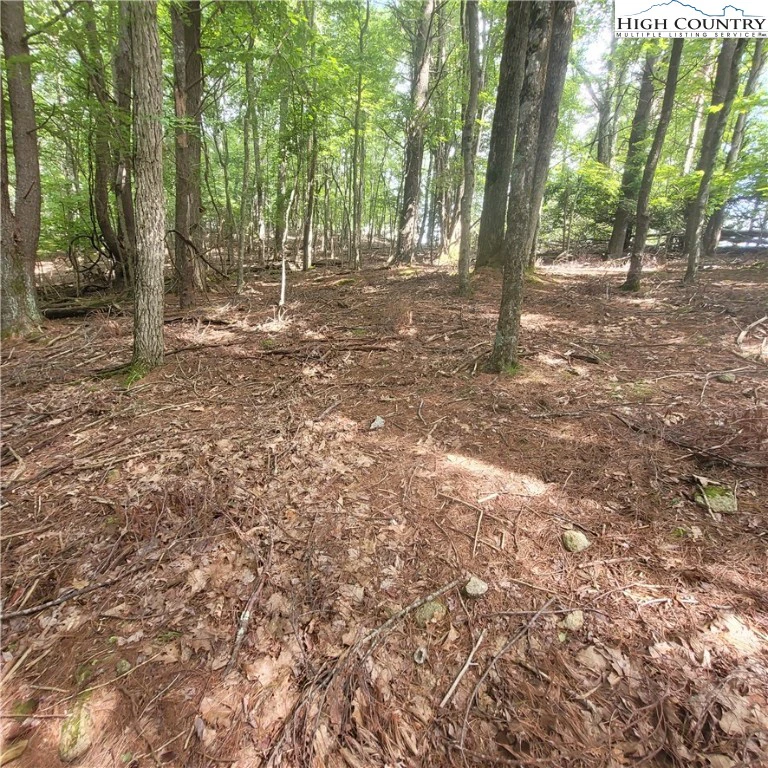 Image number 5 for the current listing