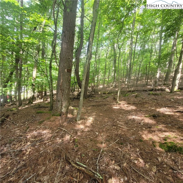Image number 6 for the current listing