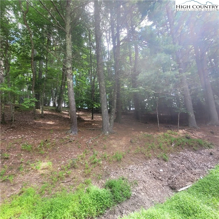 Image number 7 for the current listing