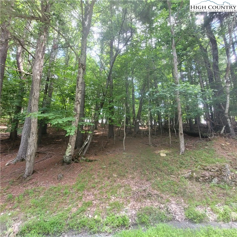 Image number 8 for the current listing