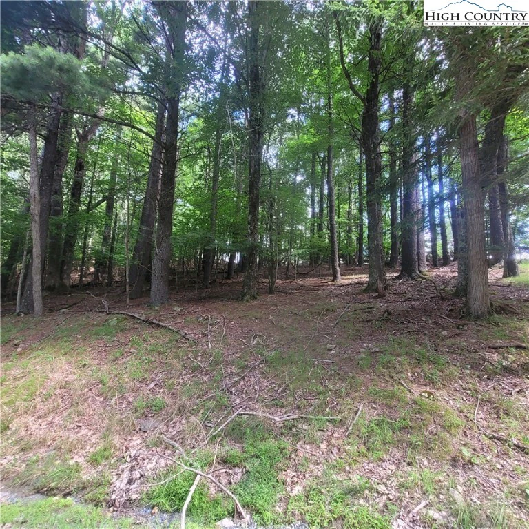 Image number 9 for the current listing