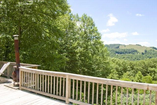 Image number 2 for the current listing