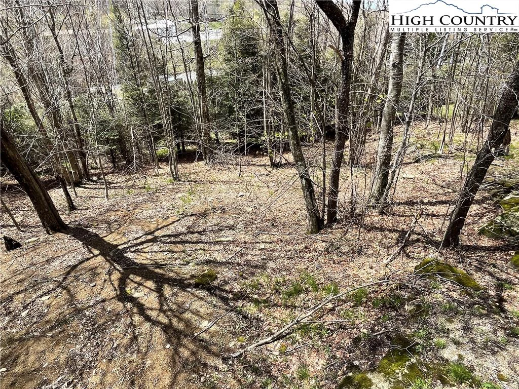 Image number 6 for the current listing