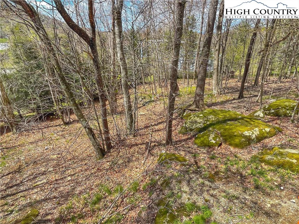 Image number 5 for the current listing