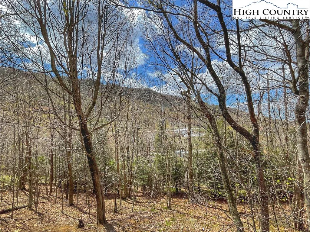 Image number 4 for the current listing