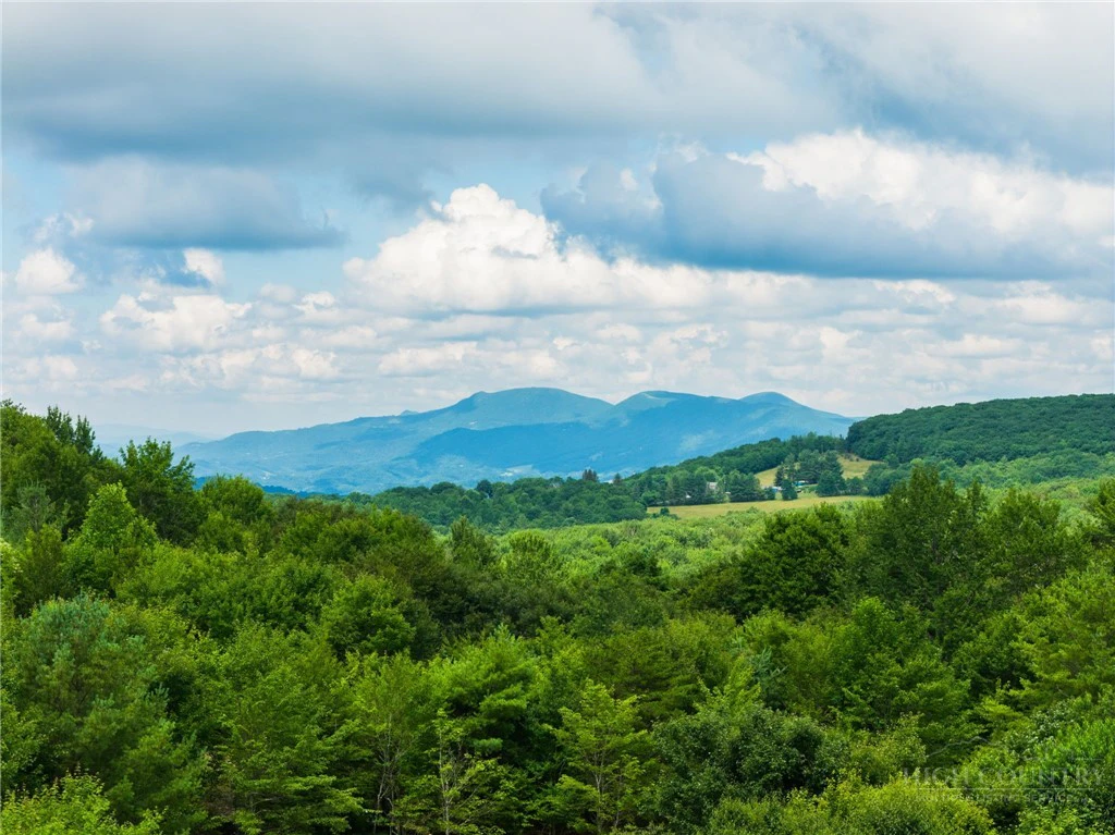Image number 1 for the current listing