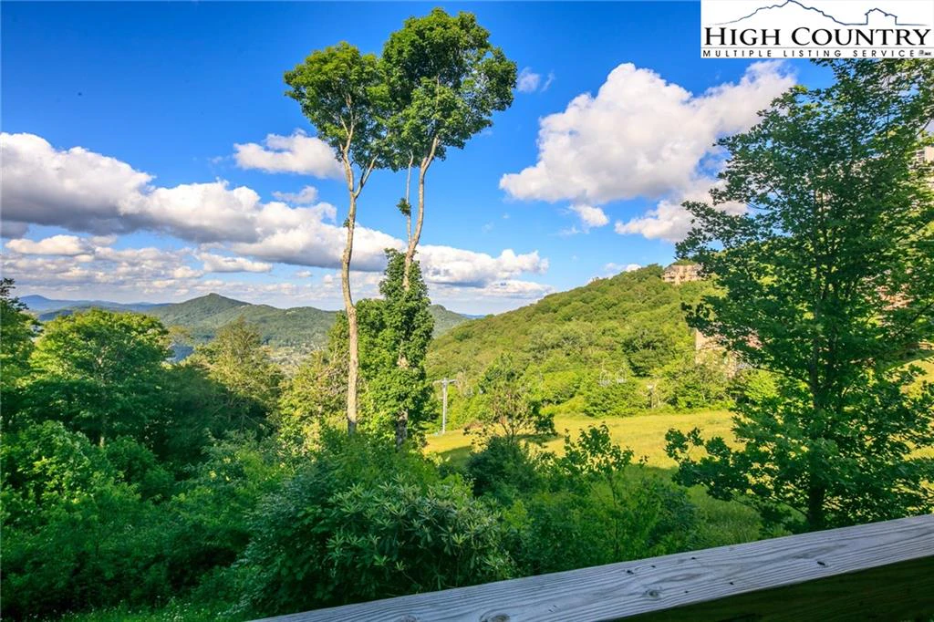 Image number 1 for the current listing