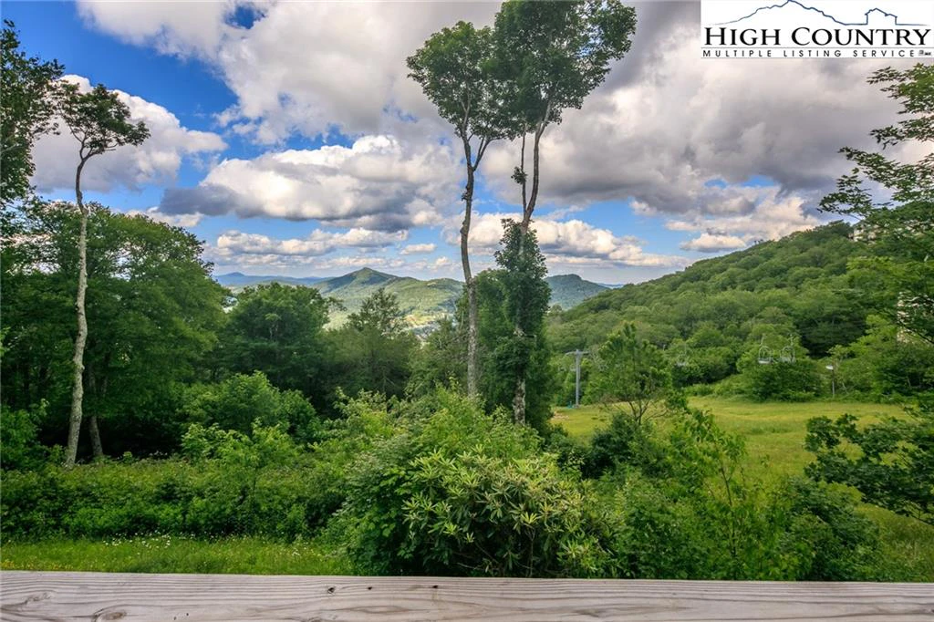 Image number 9 for the current listing