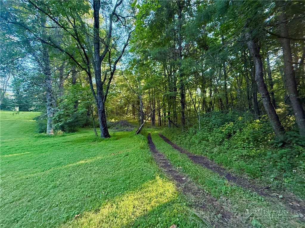 Image number 6 for the current listing