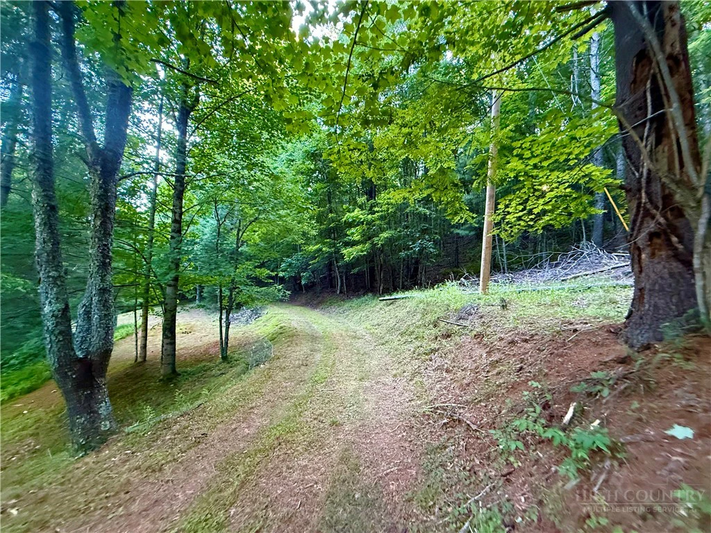 Image number 8 for the current listing