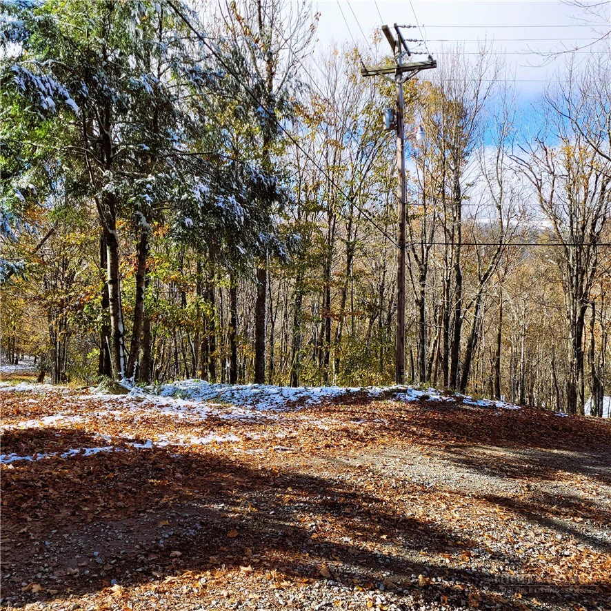 Image number 1 for the current listing