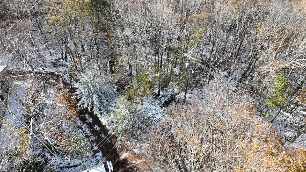 Image number 3 for the current listing