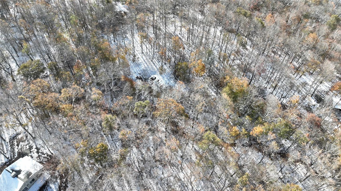 Image number 5 for the current listing