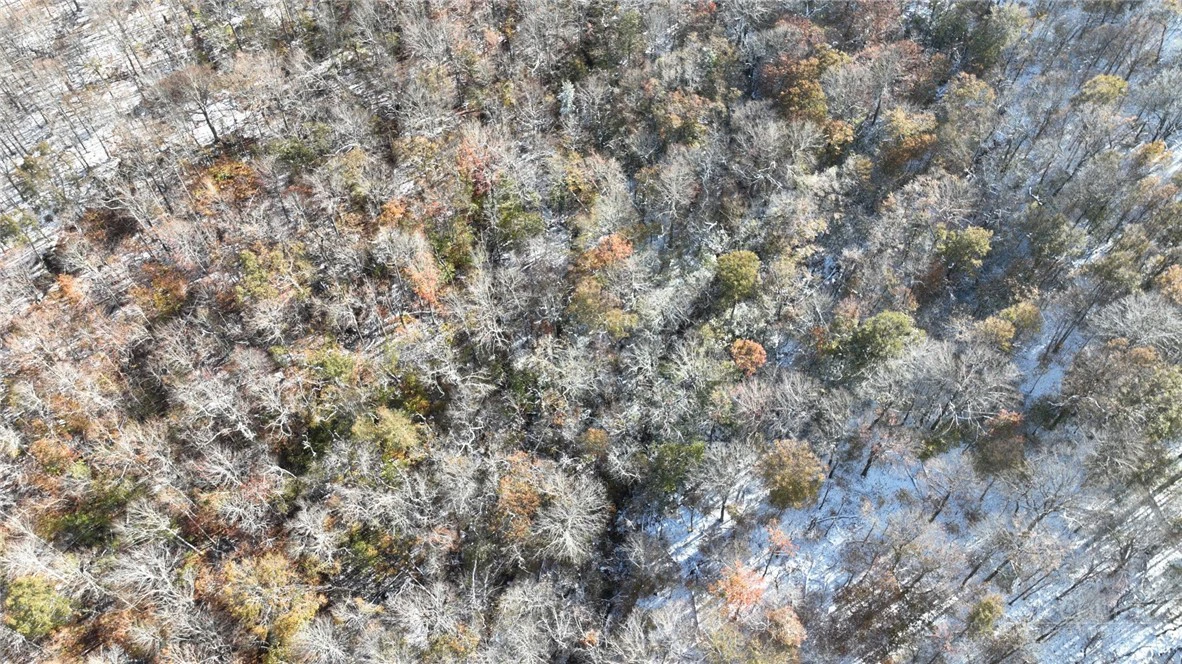 Image number 7 for the current listing