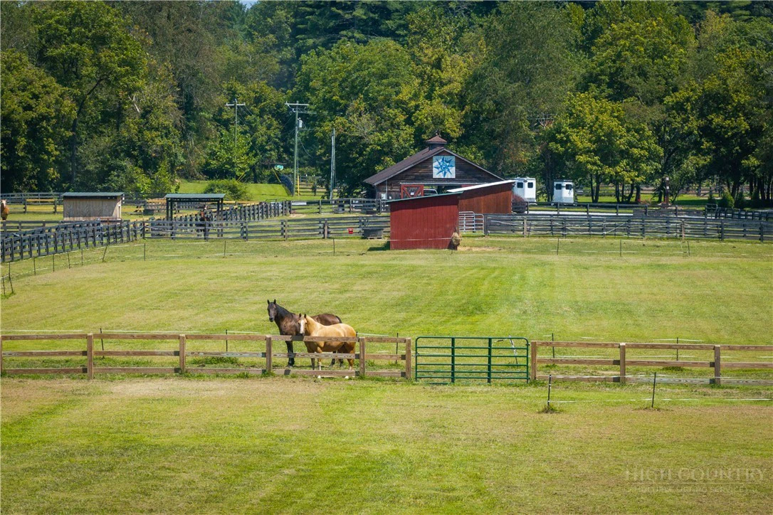 Image number 2 for the current listing