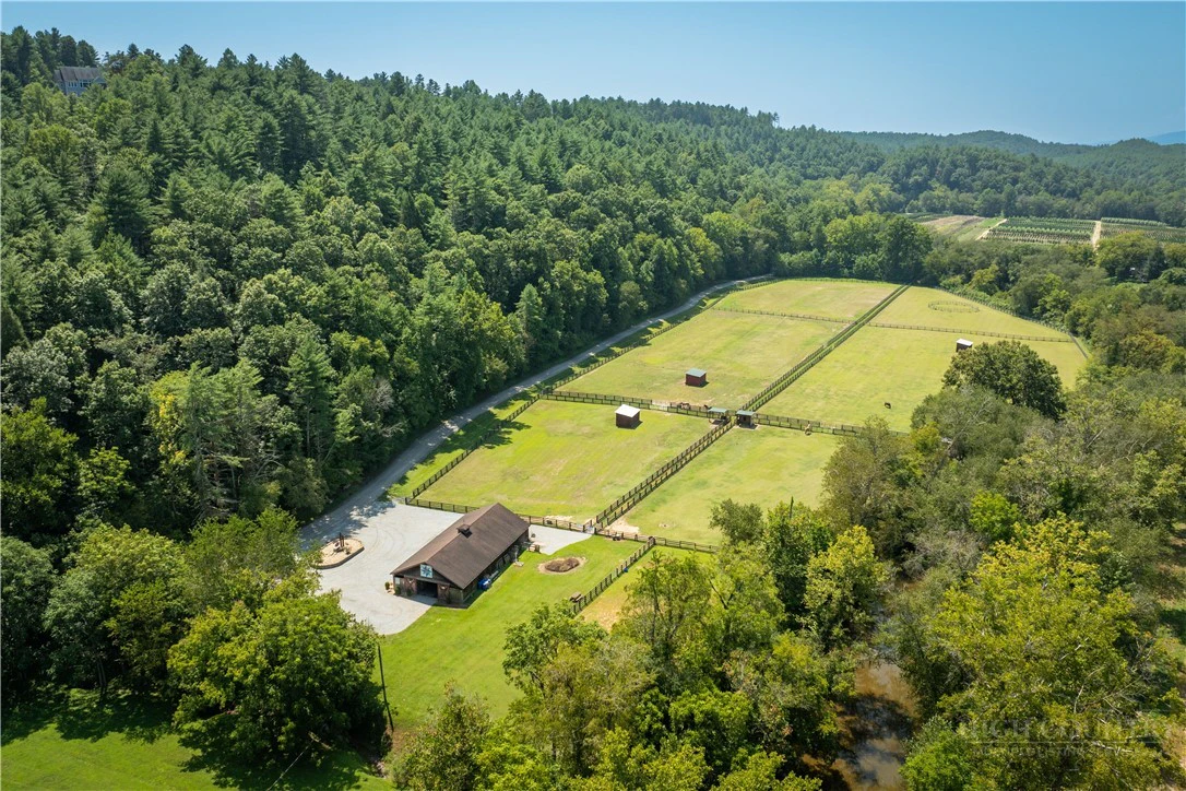 Image number 13 for the current listing