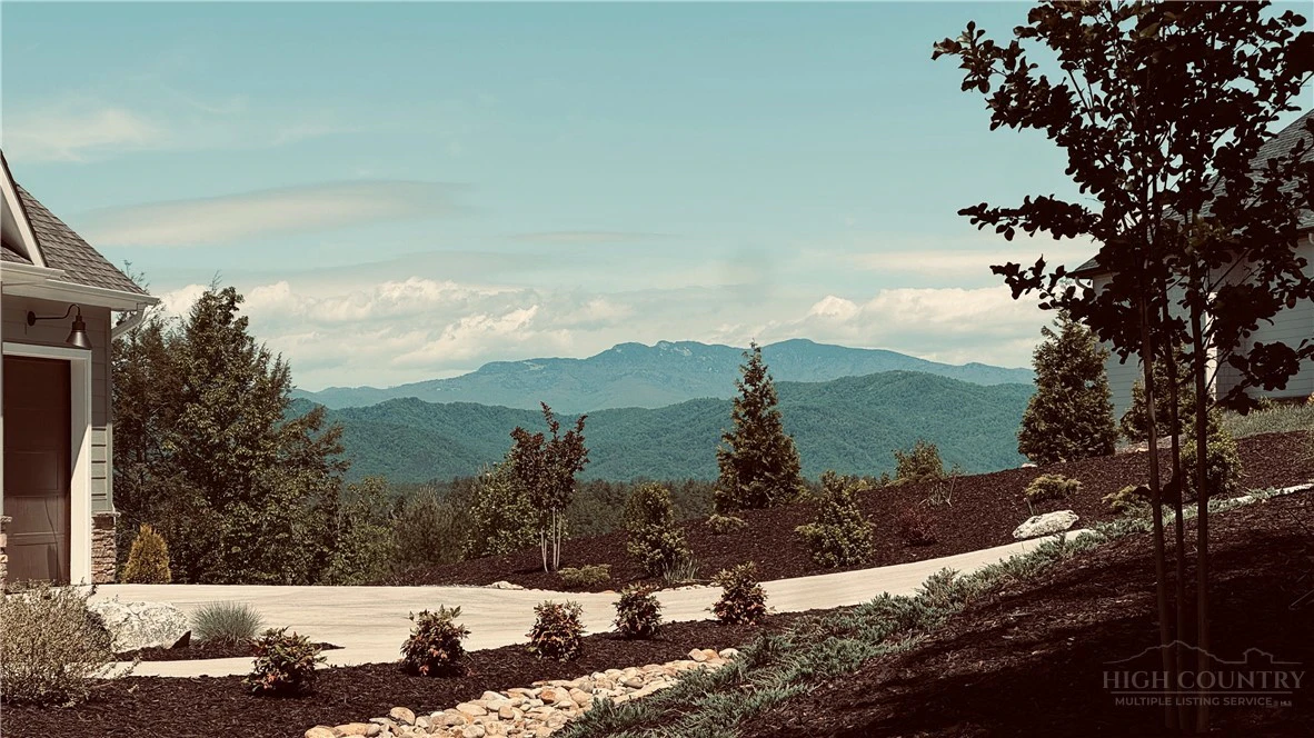 Image number 1 for the current listing