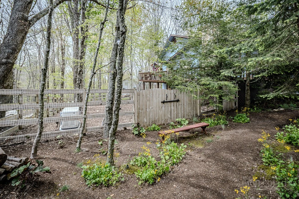 Image number 17 for the current listing