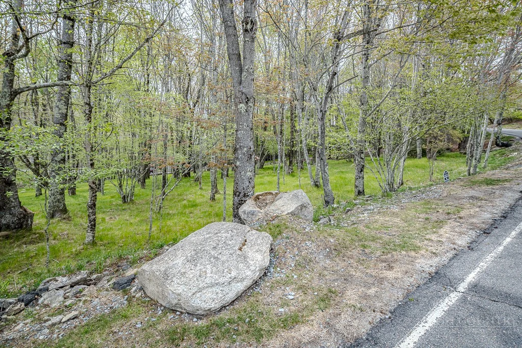 Image number 19 for the current listing