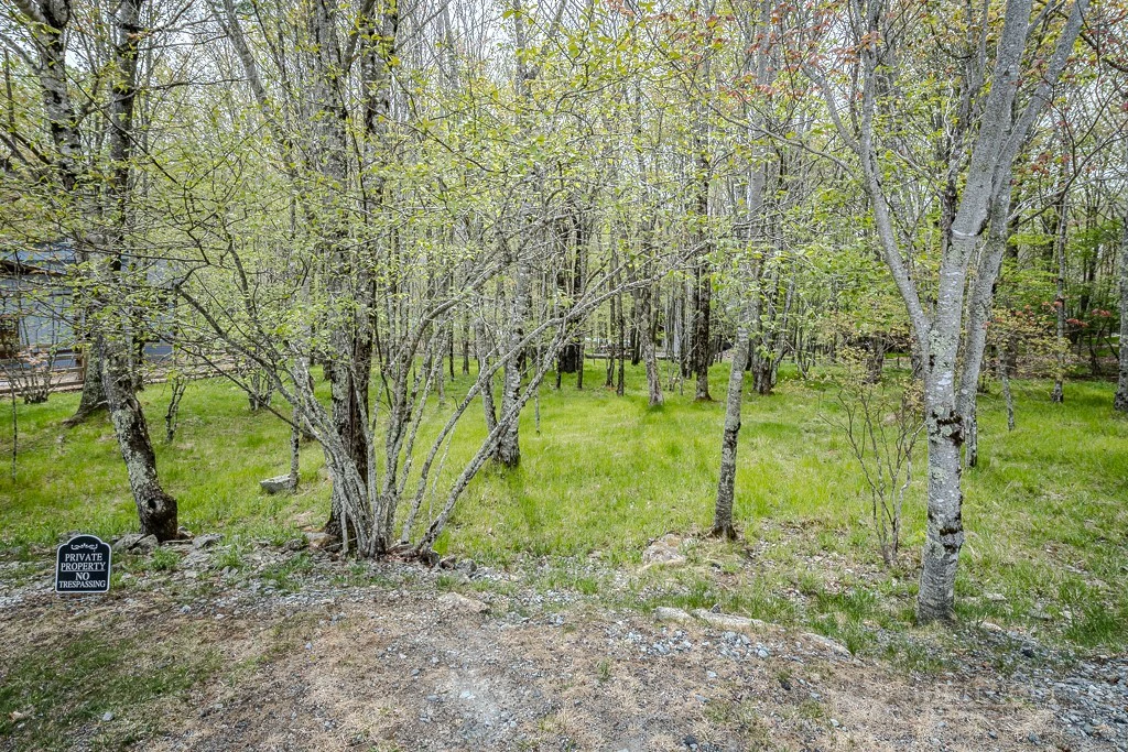 Image number 18 for the current listing