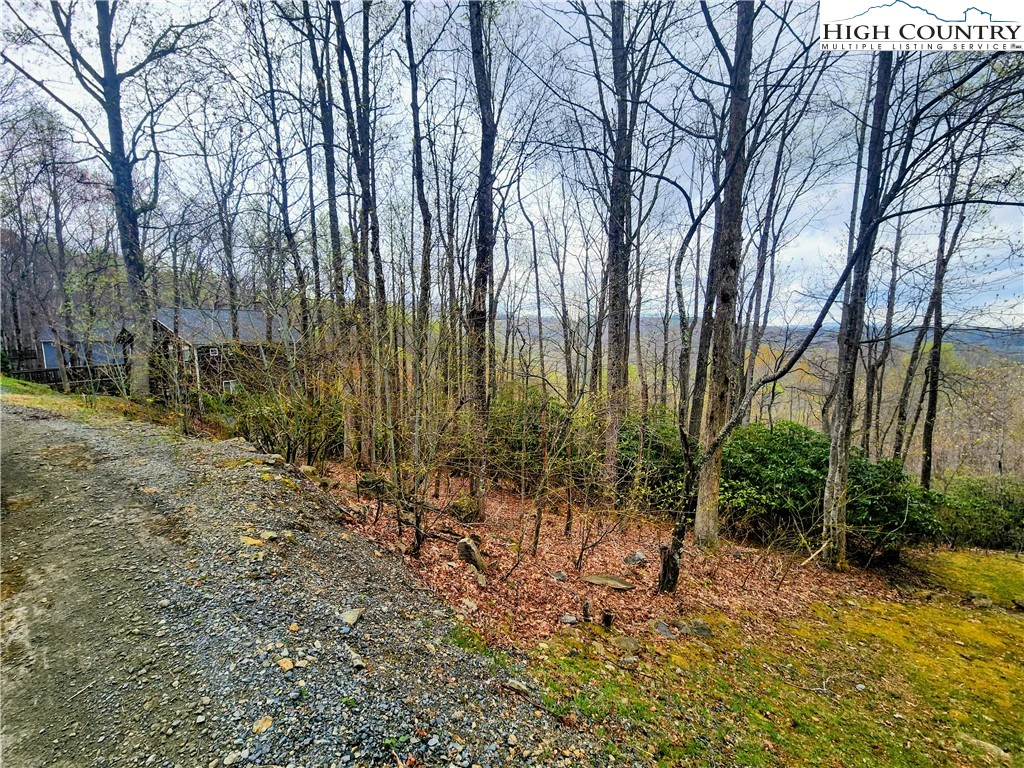 Image number 1 for the current listing