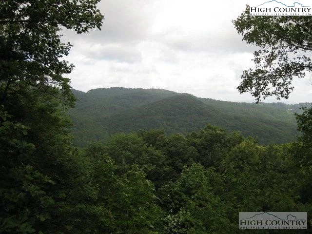 Image number 4 for the current listing