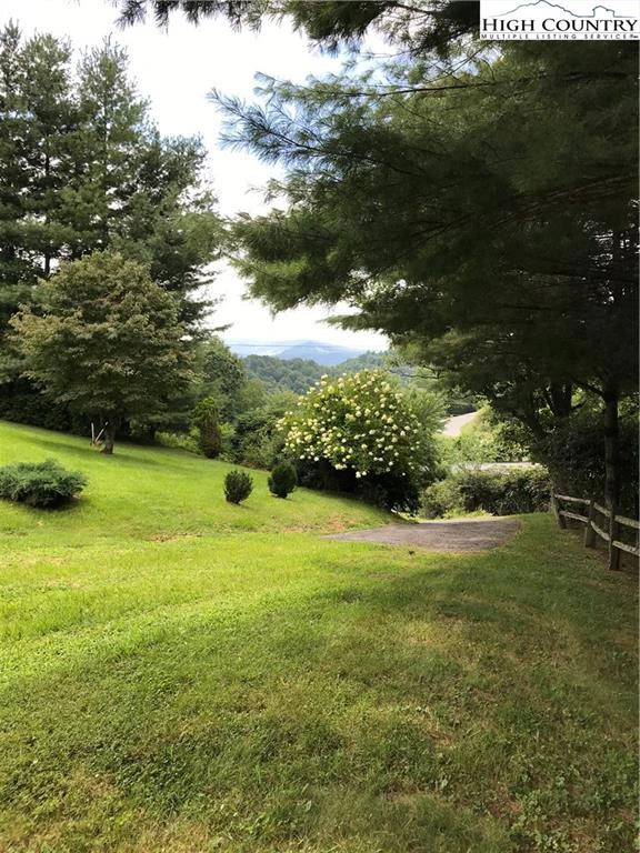 Image number 2 for the current listing