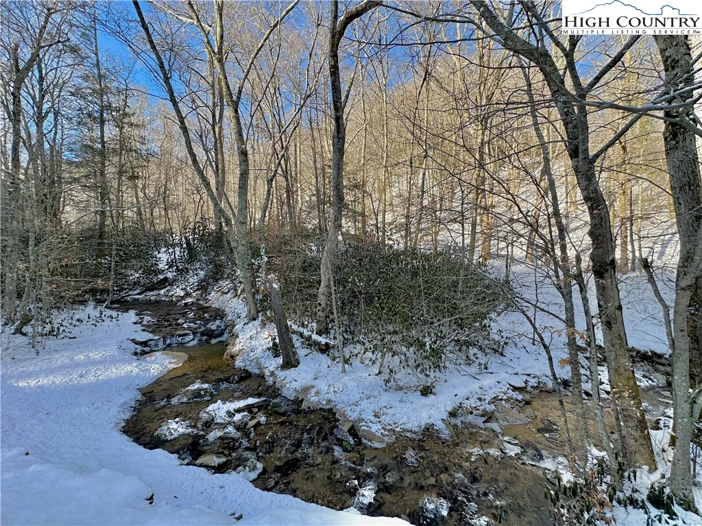 Image number 11 for the current listing