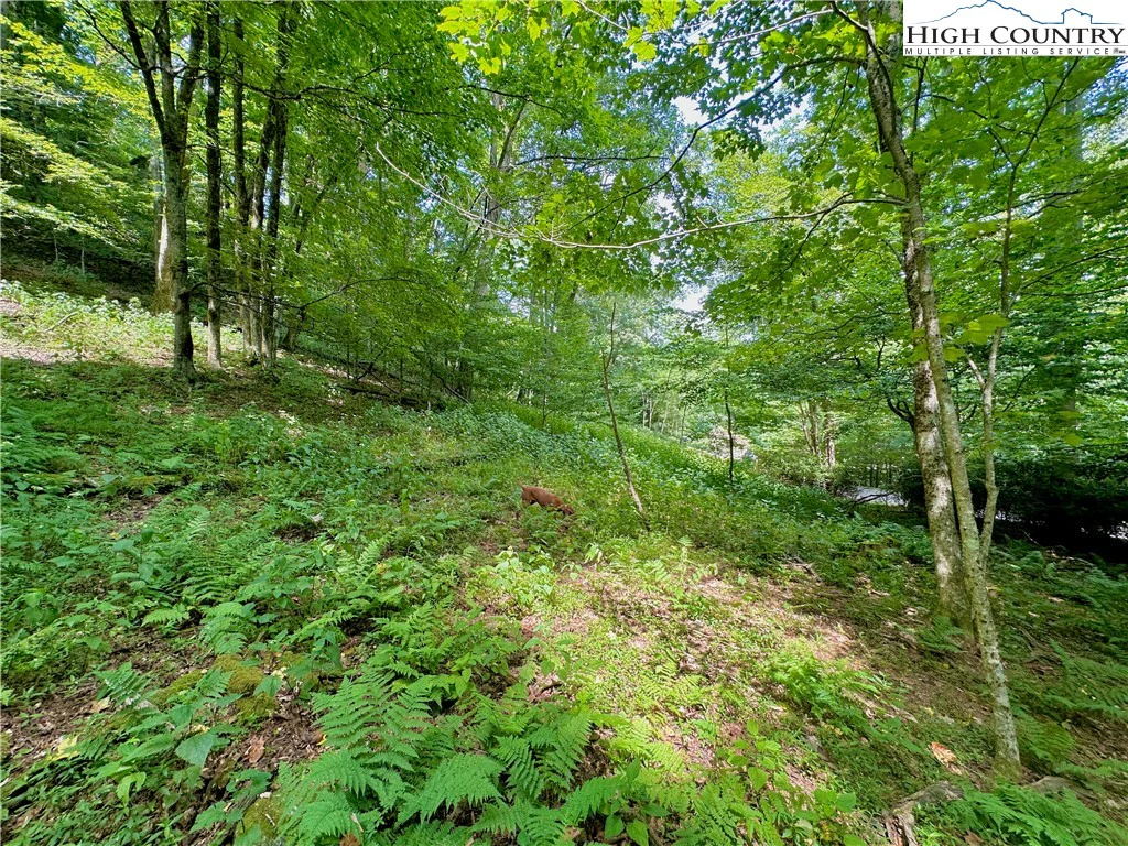 Image number 4 for the current listing