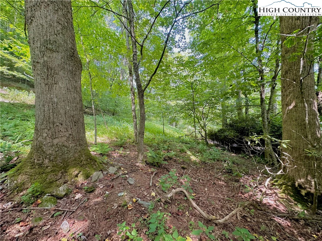 Image number 3 for the current listing